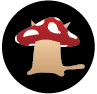 MUSHROOM CAT